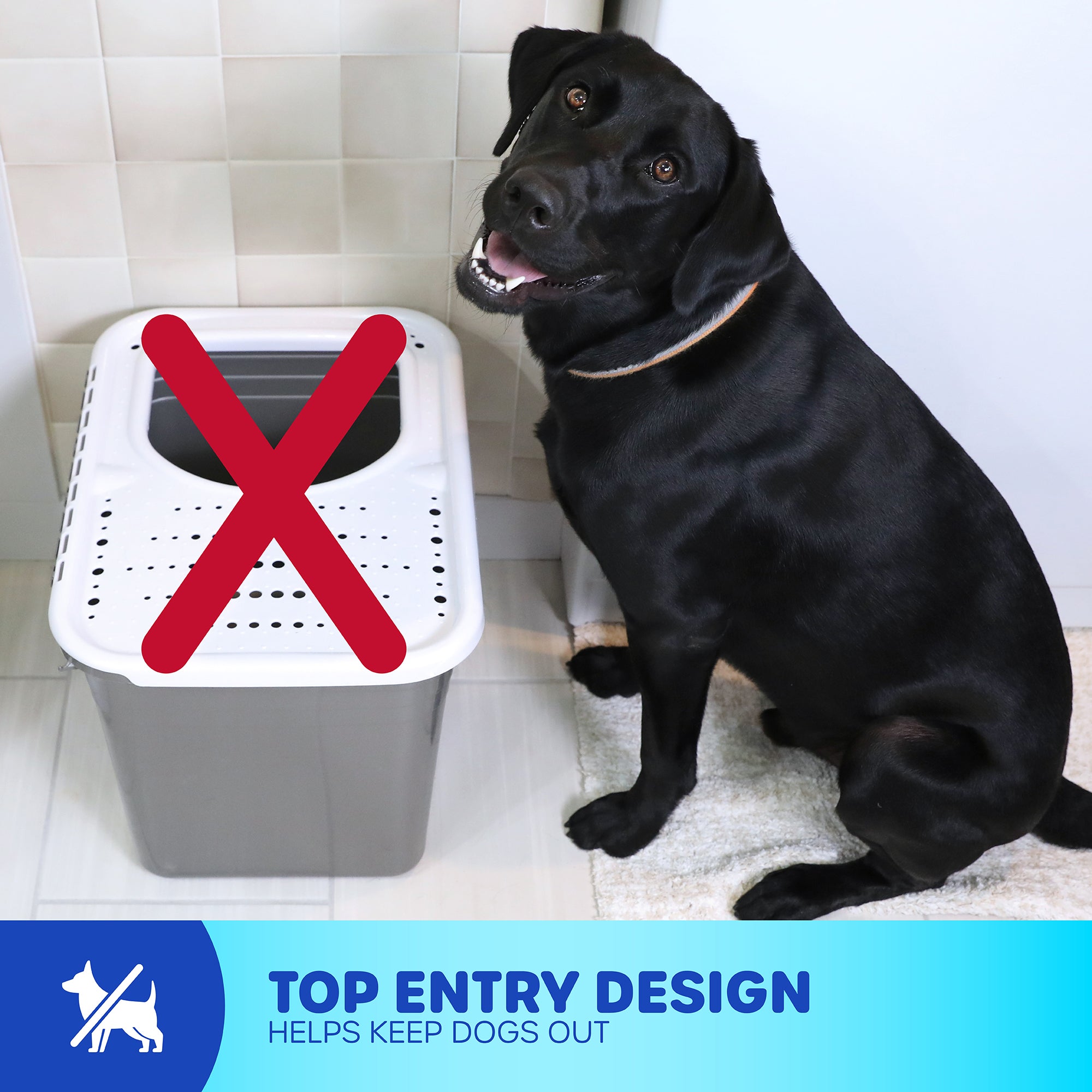 A black dog sits beside the Petmate Top Entry Litter Box in the bathroom, its non-slip textured lid with a red X deters dogs. Text reads Top Entry Design Helps Keep Dogs Out with pet icons, highlighting it as an eco-friendly option for pet owners.