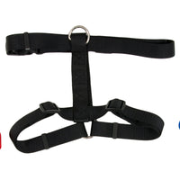 Petmates Adjustable Dog Harness, in black, is made from fray-resistant nylon and includes a durable metal D-ring and multiple straps for a snug fit around your pets torso and front, set against a crisp white background.