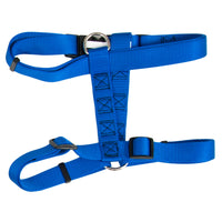 Discover the Petmate Adjustable Dog Harness in blue nylon, crafted with fray-resistant material. It features adjustable black plastic buckles, metal D-rings for leash attachment, and intersecting straps forming a square pattern accented by visible stitching for durability and style.