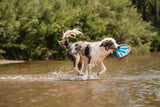 A wet dog frolics in shallow water, joyfully holding a Chuckit Paraflight Flyer Dog Toy from Chuckit! in its mouth. The lush green foliage serves as a vibrant backdrop for the dogs active and content play with the durable toy.