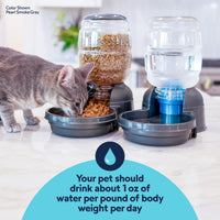 A gray cat eats dry food from an automatic feeder beside a Petmate Replendish 0.5 Gallon Filtered Pet Waterer with Gravity Refill by Petmate on the counter. Text: Pets need about 1 oz of water per pound of body weight daily for proper hydration.