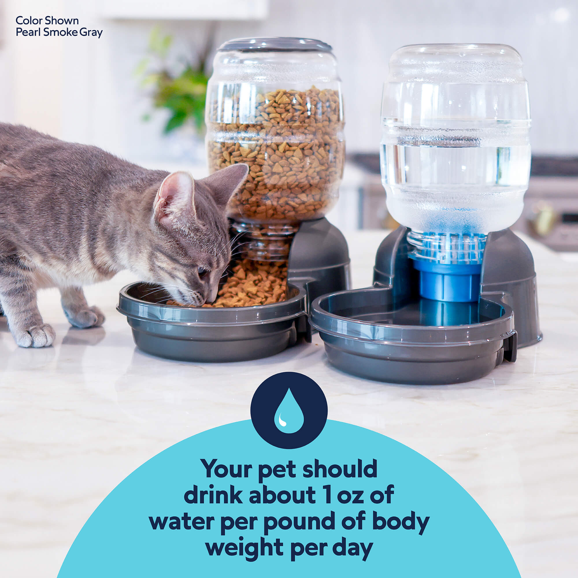 A gray cat eats dry food from an automatic feeder beside a Petmate Replendish 0.5 Gallon Filtered Pet Waterer with Gravity Refill by Petmate on the counter. Text: Pets need about 1 oz of water per pound of body weight daily for proper hydration.