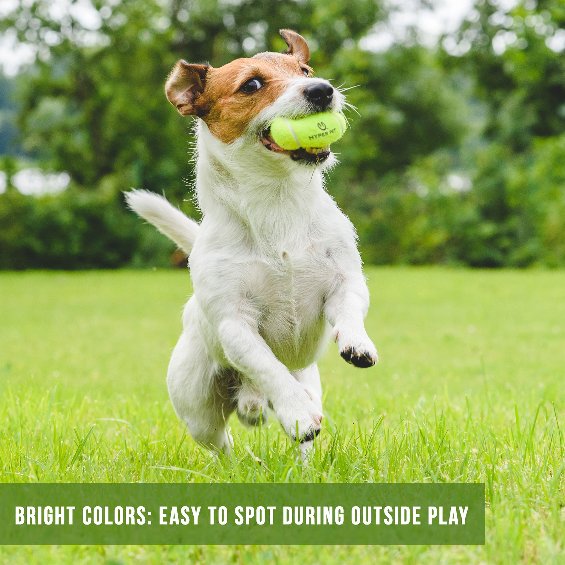 A small dog energetically leaps through a grassy field, carrying a Hyper Pet Tennis Ball from the 4 Pack by Hyperpet. Bright green color makes it easy to spot in lush greenery, enhancing fetch training and improving outdoor play safety for dogs.