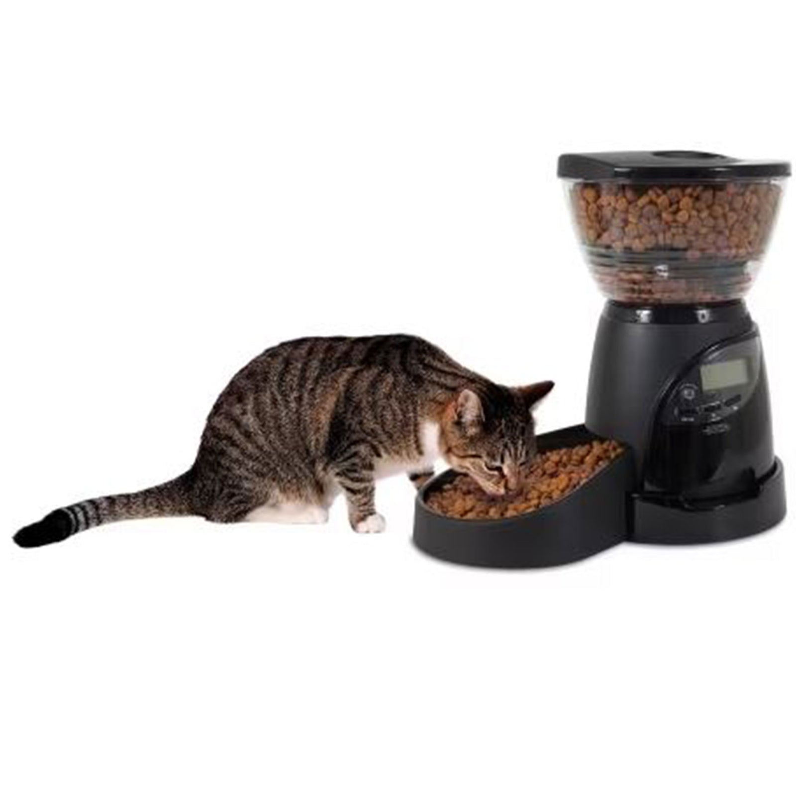 Aspen Pet Lebistro Programmable Food Dispenser Petmate