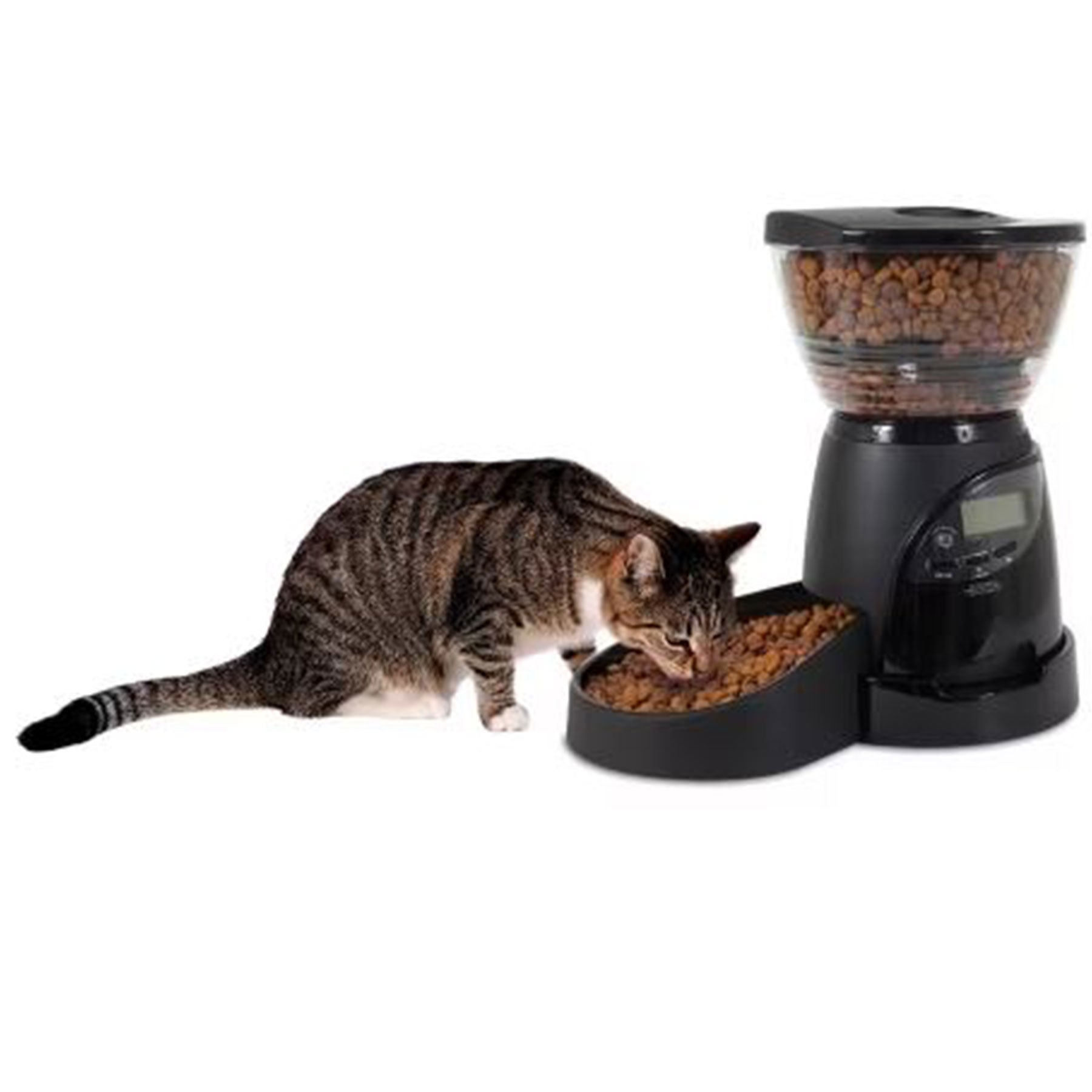 A gray tabby cat eats from an Aspen Pet Lebistro Programmable Food Dispenser filled with kibble. The Aspen Pet feeder features a transparent container showing extra kibble and a digital control panel on the front for portion control, against a white background.