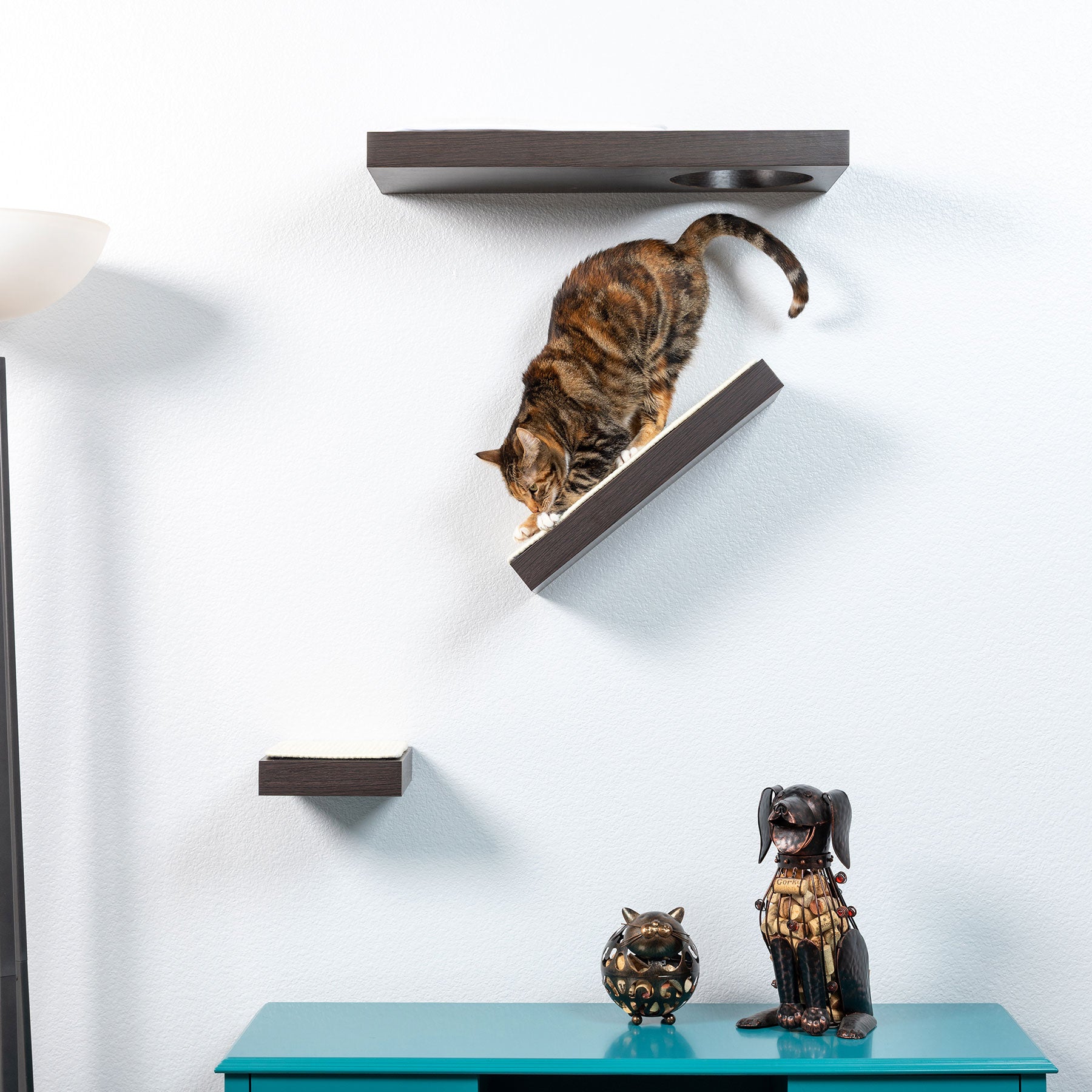Affordable cat shelves hotsell
