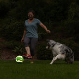 A woman in a blue shirt and gray leggings plays on the grass with a spotted dog, kicking a Chuckit! Kick Fetch Max Glow toy made of photoluminescent material that shines brightly. The dog watches eagerly as trees and shrubs form the background.