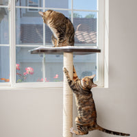 Two cats relish their PetFusion Ultimate Cat Window Climbing Perch. One lounges on the top, serving as a perfect window perch, while the other playfully climbs. Sunlight bathes the room, casting shadows and providing a view of flowers outside, enriching their environment.