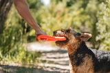 A brown and black dog eagerly grips the Chuckit! Rugged Flyer, a red rubber toy from Chuckit, tugging against a persons hand amidst trees with sunlight filtering through leaves. This durable dog toy promises countless moments of outdoor fun.