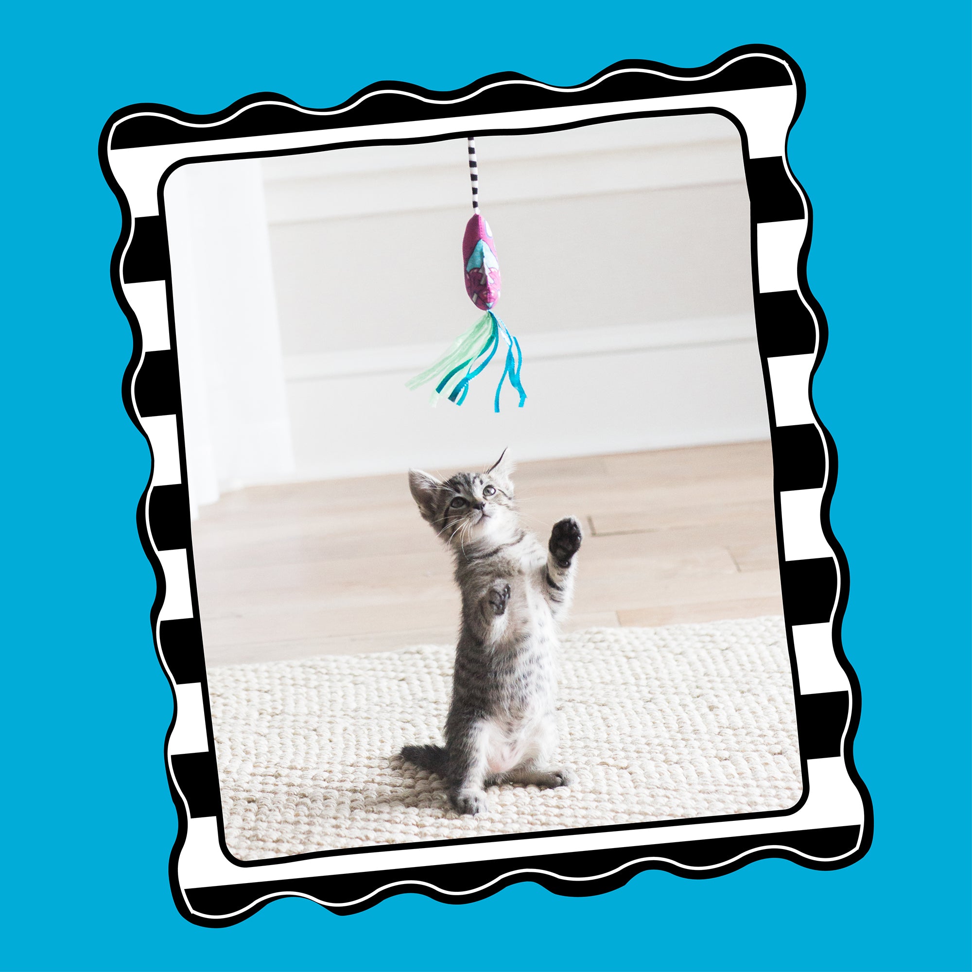 A playful kitten reaches for the FAT CAT Catfisher Teasers - Worm Cat Wand by Fatcat, set against a light wall and woven rug. The scene is framed by a wavy black and white border on bright blue, creating an ideal setting for interactive play.