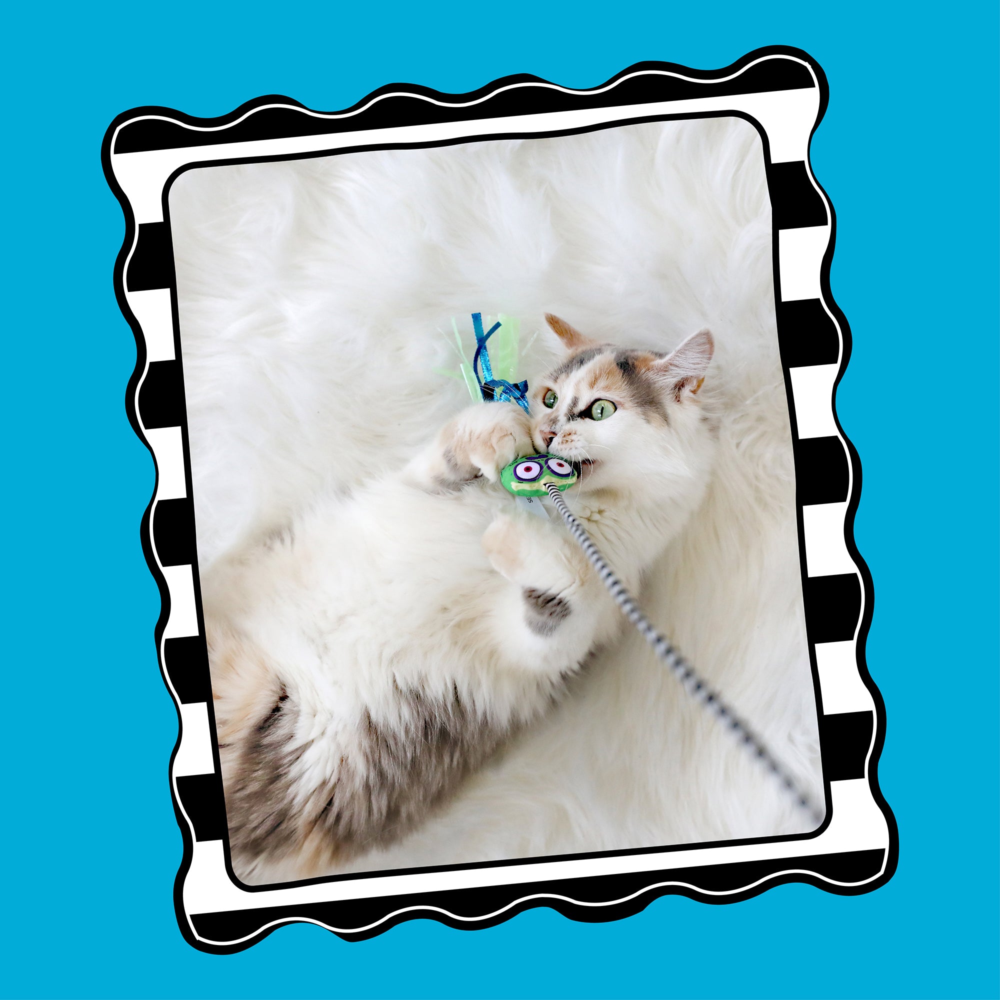 A fluffy cat playfully bats at the string of a FAT CAT Catfisher Teasers - Tadpole Cat Wand by Fatcat. The scene is set on a soft white surface, framed with a wavy-edged black and white striped border against a bright blue background.