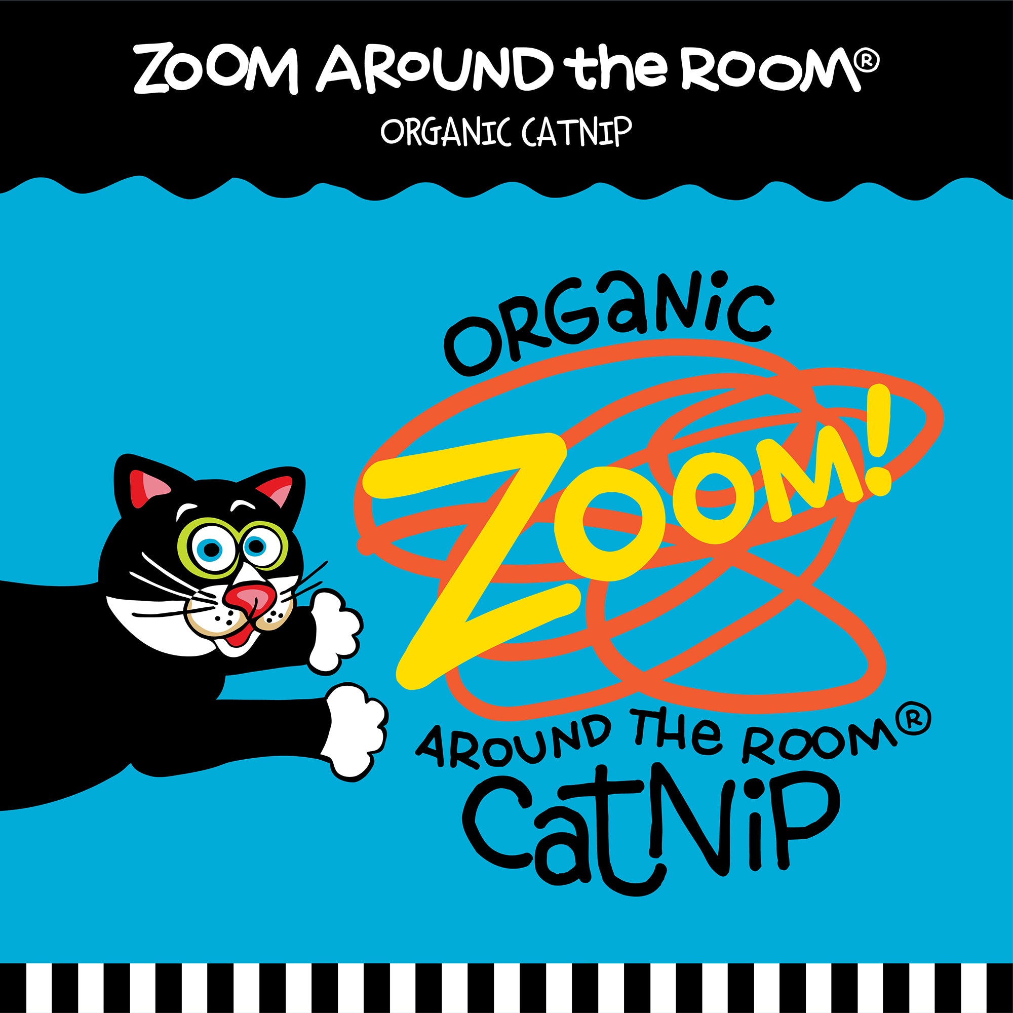 A playful black and white cartoon cat reaches out on a vibrant blue background. The text reads FAT CAT Catfisher Teasers - Tadpole Cat Wand by Fatcat, designed for interactive play with bright orange and yellow accents.