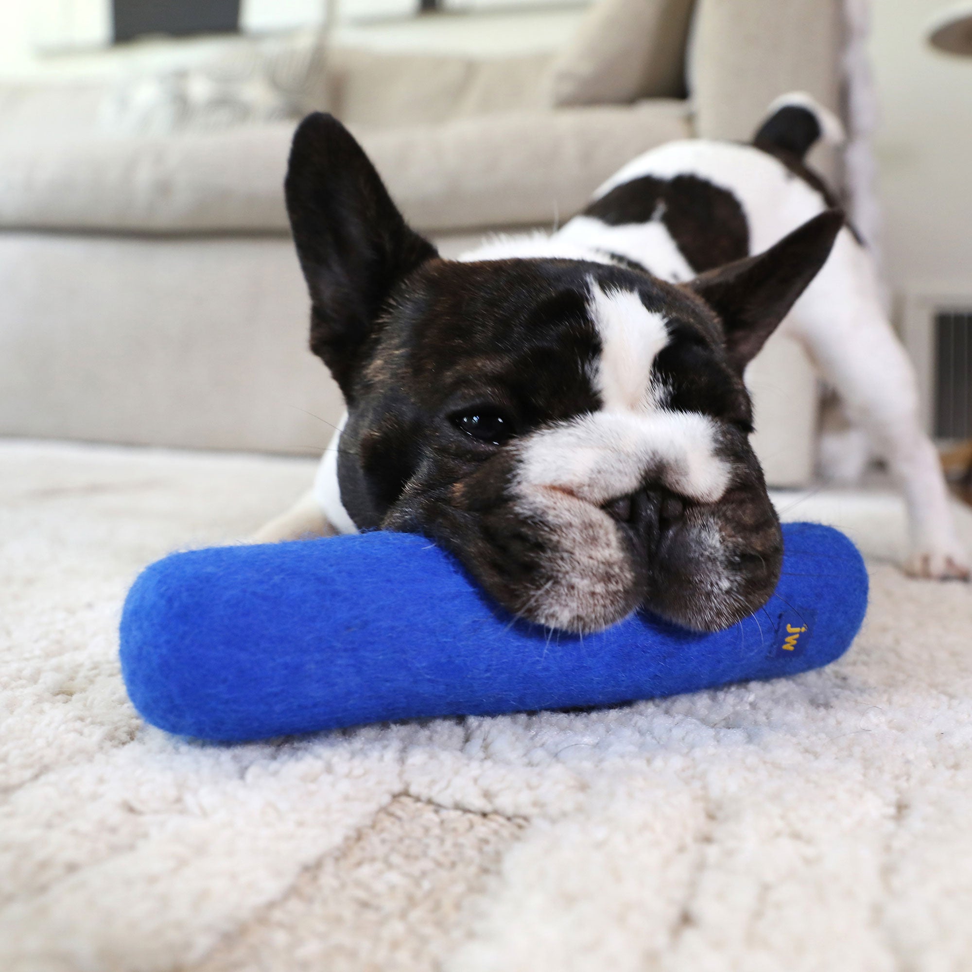 JW® Wool-ee Crunch Stick Dog Toy | Petmate