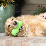 A golden retriever playfully grips a JW Wool-ee Bone by Jw on a brick surface, while being petted by a hand. A large green plant adds to the lush backdrop.