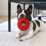 A French Bulldog lies on a natural wool rug with a JW Wool-ee Ring Dog Toy by Jw in its mouth. A table with metal legs is in the background, while the dog appears content and playful.