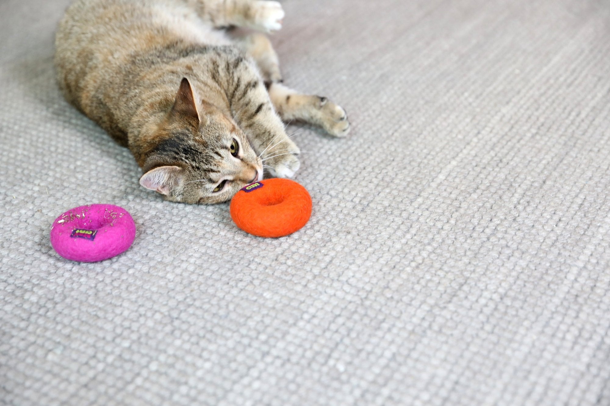 Mad Cat Wacky Wool Rings – Petmate