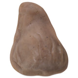 The BarkBone Natural Instincts Nylon Pig Ear is a realistic rubber dog toy designed for aggressive chewers. It resembles a pigs ear with a smooth, slightly textured brown surface and is made of nylon to promote dental hygiene, ensuring its both fun and functional for pets.