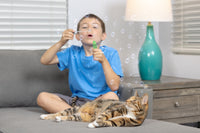 A boy in a blue shirt enjoys the magic of Petqwerks Catnip IncrediBubbles for Cats. His tabby cat lounges nearby, playfully swatting at the bubbles. A teal lamp and window blinds complete this tranquil scene.
