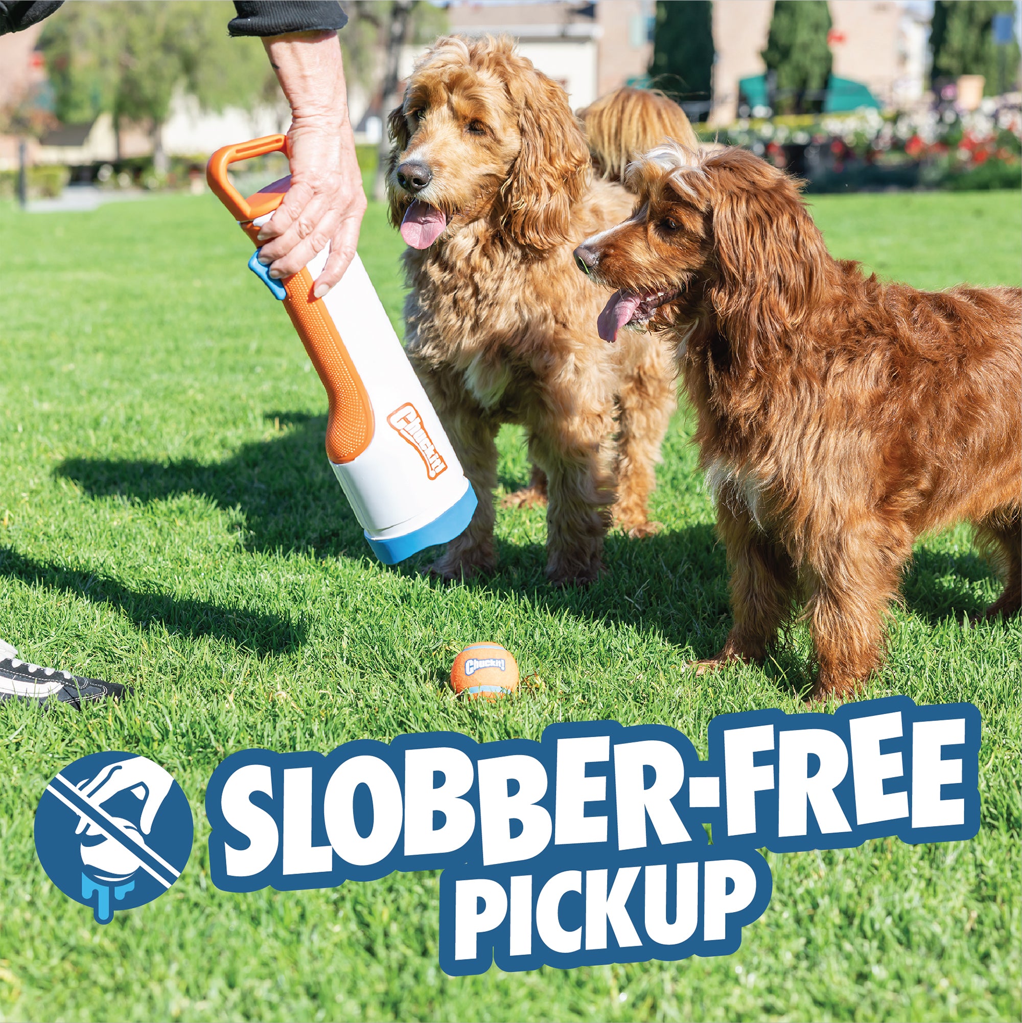 Using the Chuckit! Cannon & Cannon Max Dog Ball Launcher by Chuckit!, someone picks up a ball from the grass while two brown dogs watch. "Slobber-Free Pickup" and a crossed-out slobbering dog logo appear on the image.