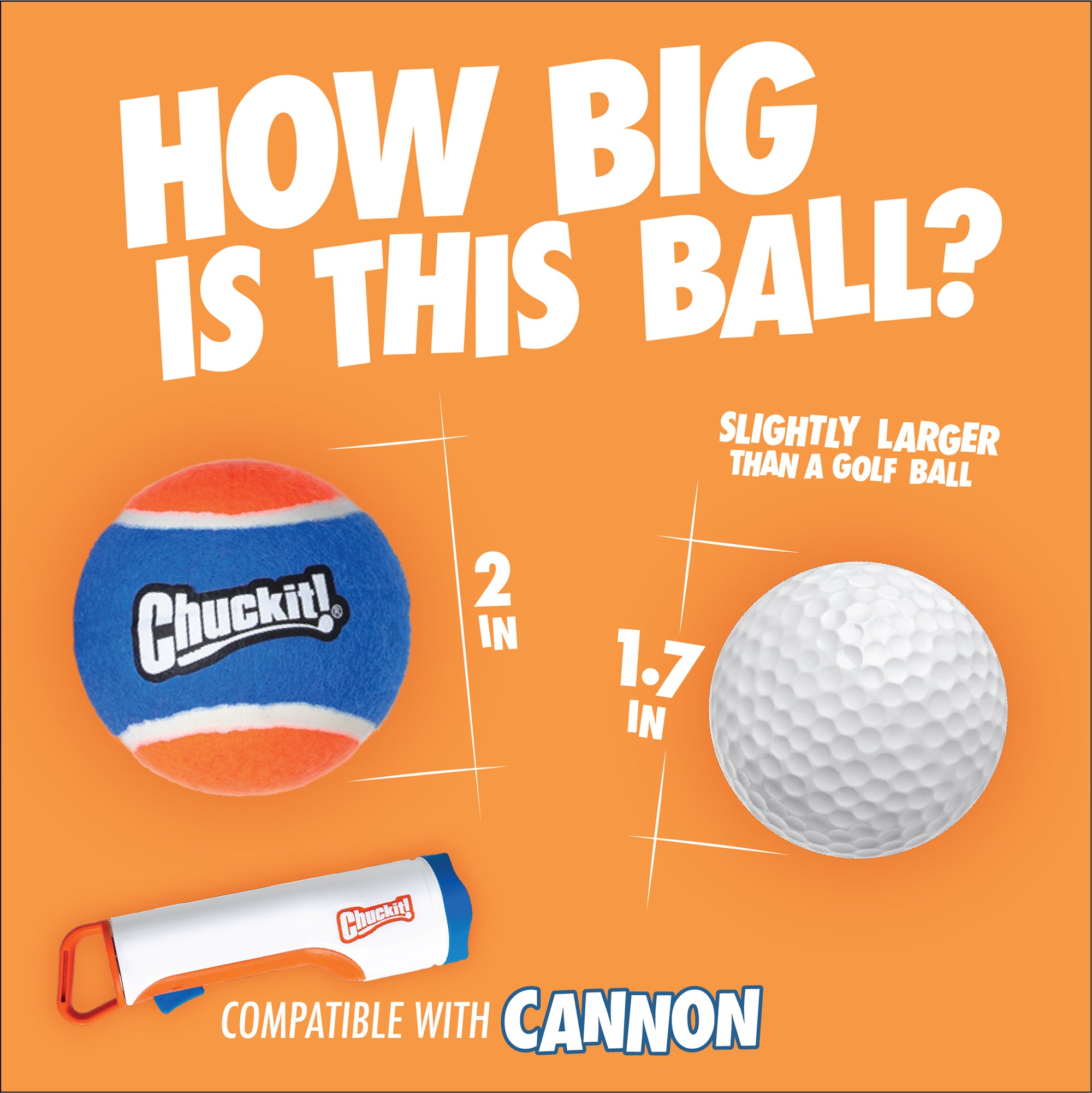 A blue, orange, and white Chuckit! ball (2") sits beside a 1.7" golf ball. Also shown are the Chuckit! dog ball launcher and the Chuckit! Cannon & Cannon Max Dog Ball Launcher by Chuckit!.