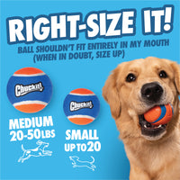A happy golden retriever holds a Chuckit! ball as two labeled balls sit nearby. The text reminds you to choose a safe size—ideal for fun with your Chuckit! Cannon & Cannon Max Dog Ball Launcher from Chuckit!.
