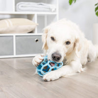 A golden retriever lies on a wooden floor, chewing on a blue Chuckit! Hol-ee Roller dog toy by Chuckit!. Shelves with folded towels and cushions are in the background.