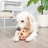 A golden retriever lounges on a light wood floor indoors, gently chewing on the Chuckit! Hol-ee Roller by Chuckit!, with a white shelving unit and potted plant in the background.