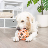 A golden retriever lounges on a light wood floor indoors, gently chewing on the Chuckit! Hol-ee Roller by Chuckit!, with a white shelving unit and potted plant in the background.