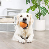 A golden retriever lies on a light wooden floor indoors, holding the Chuckit! Wool-ee Ball by Chuckit! in its mouth. In the background, there’s a white shelf with folded towels and a large green potted plant.
