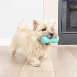 A small, fluffy tan dog walks indoors on a wooden floor, carrying a Chuckit! Wool-ee Bone by Chuckit! in its mouth near a cozy fireplace.