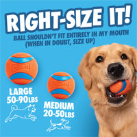 A golden retriever holds a small orange and blue Chuckit! Ultra Ball in its mouth. Text says, RIGHT-SIZE IT! Choose the correct ball size—medium or large—for your dog’s weight. Perfect for use with the Chuckit! Ultra Launcher 18M by Chuckit!.