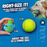 A diagram shows a dog with a colorful fetch ball made from recycled materials, labeled as Chuckit! EcoFetch Sport 18M Launcher. The balls 2.5-inch diameter is compared to a tennis balls 2.7-inch size, suitable for eco-friendly dogs weighing 20-60 lbs, such as Golden Retrievers and Boxers.