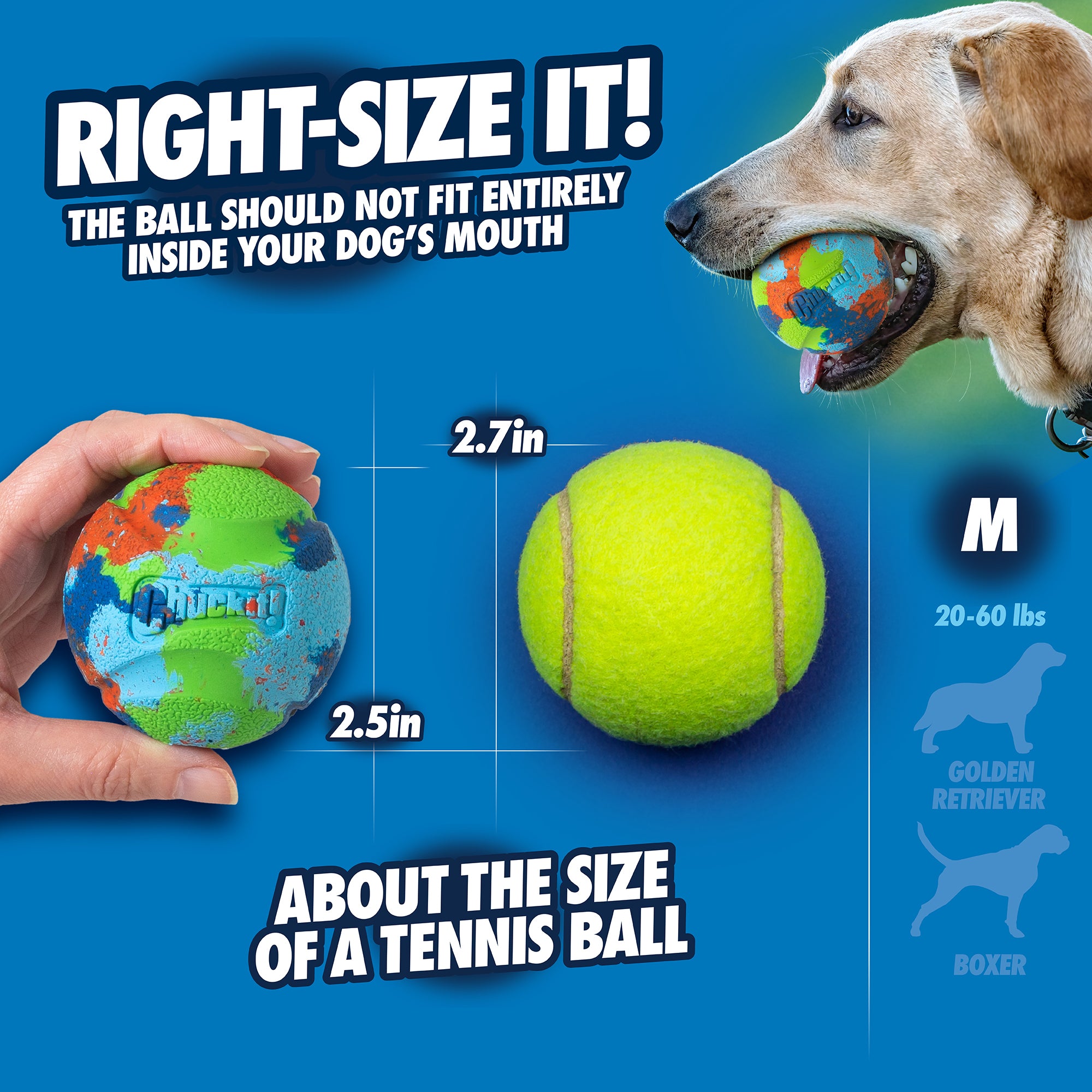 A diagram shows a dog with a colorful fetch ball made from recycled materials, labeled as Chuckit! EcoFetch Sport 18M Launcher. The balls 2.5-inch diameter is compared to a tennis balls 2.7-inch size, suitable for eco-friendly dogs weighing 20-60 lbs, such as Golden Retrievers and Boxers.