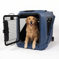 A golden retriever sits inside a Petmate Basecamp Travel Kennel, a durable blue hard-shell crate with an open wire door.