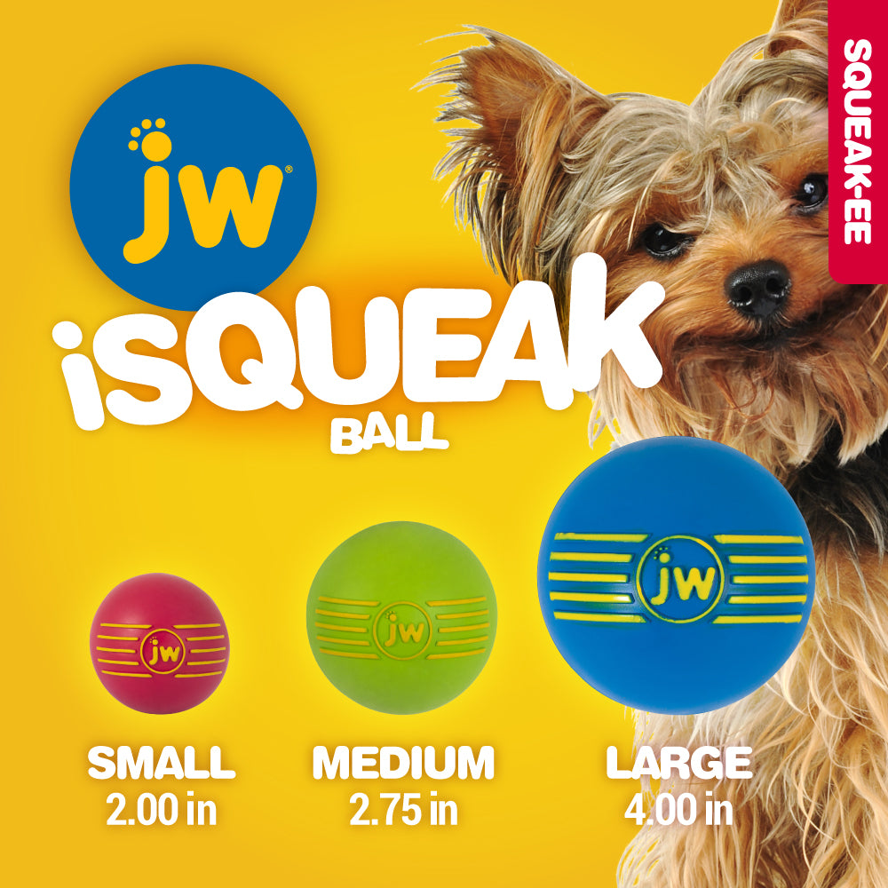 A Yorkshire Terrier sits beside three JW iSqueak Ball 1packs by Jw in small (2.00 in), medium (2.75 in), and large (4.00 in) sizes, variable colors, on a yellow background with a red “SQUEAK-EE” banner.
