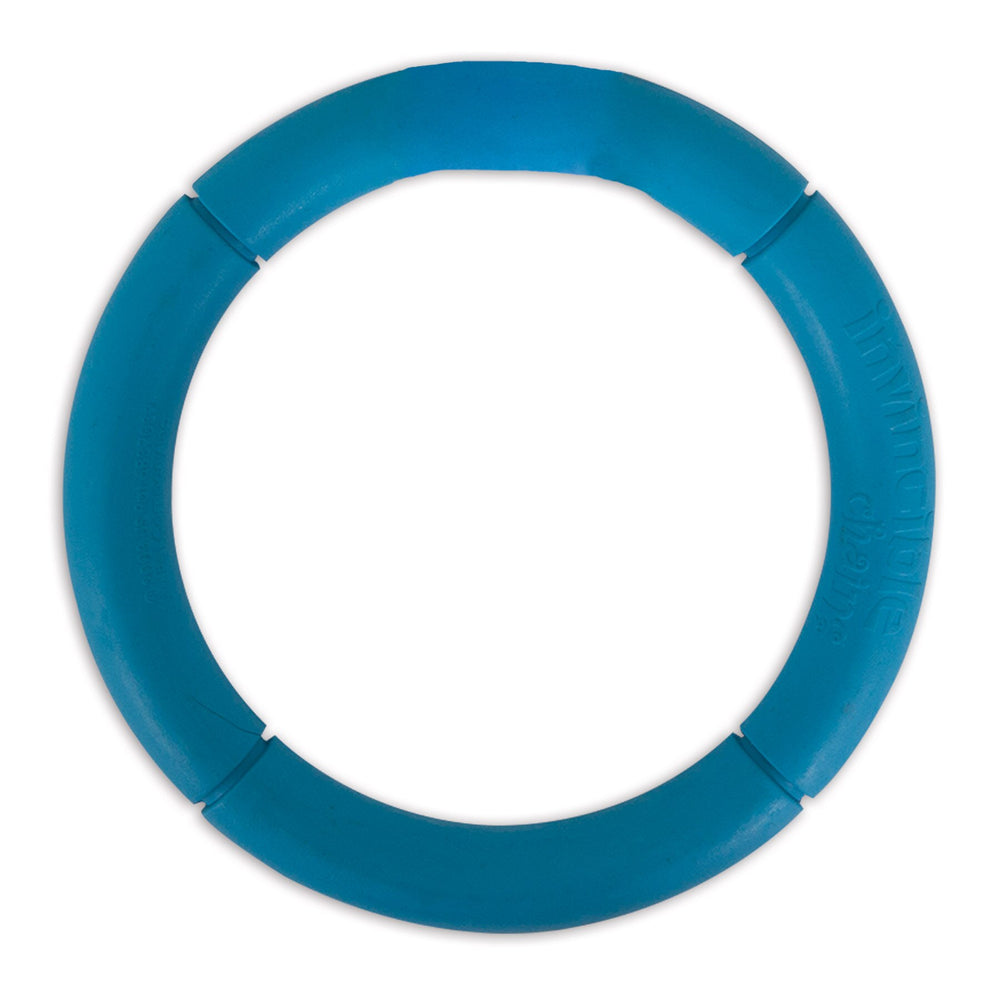 The JW Invincible Chains Dog Toy by Jw is a durable blue circular frisbee with four sections separated by gaps, set against a white background. Its smooth surface and raised text make it perfect for interactive play, making it an ideal choice for dogs.