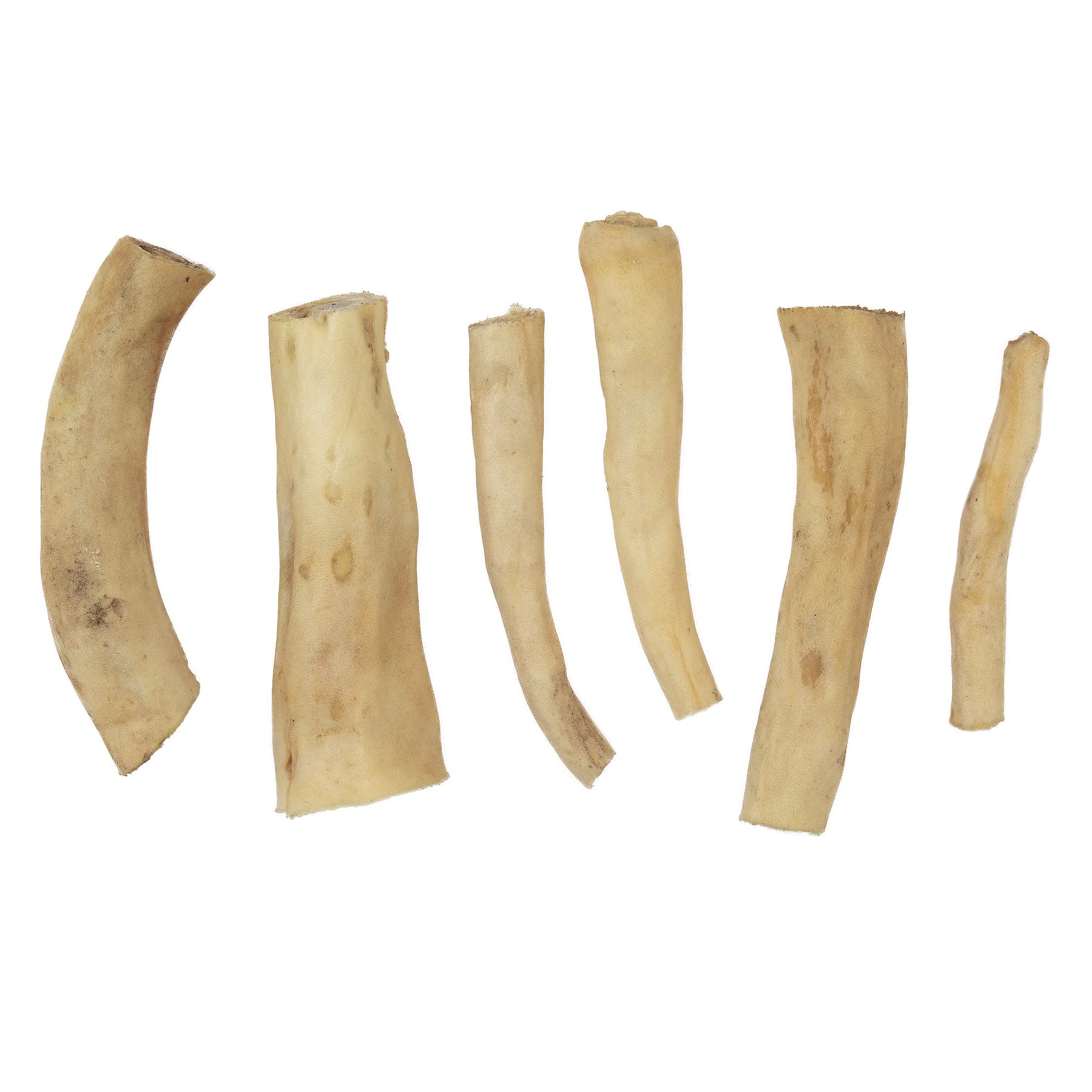 Six Wild Eats 6 Water Buffalo Tails are arrayed in a line. Each tail varies in size and shape, showcasing natural textures and a beige hue. The irregular shapes and slightly rough surfaces suggest their potential dental health benefits.