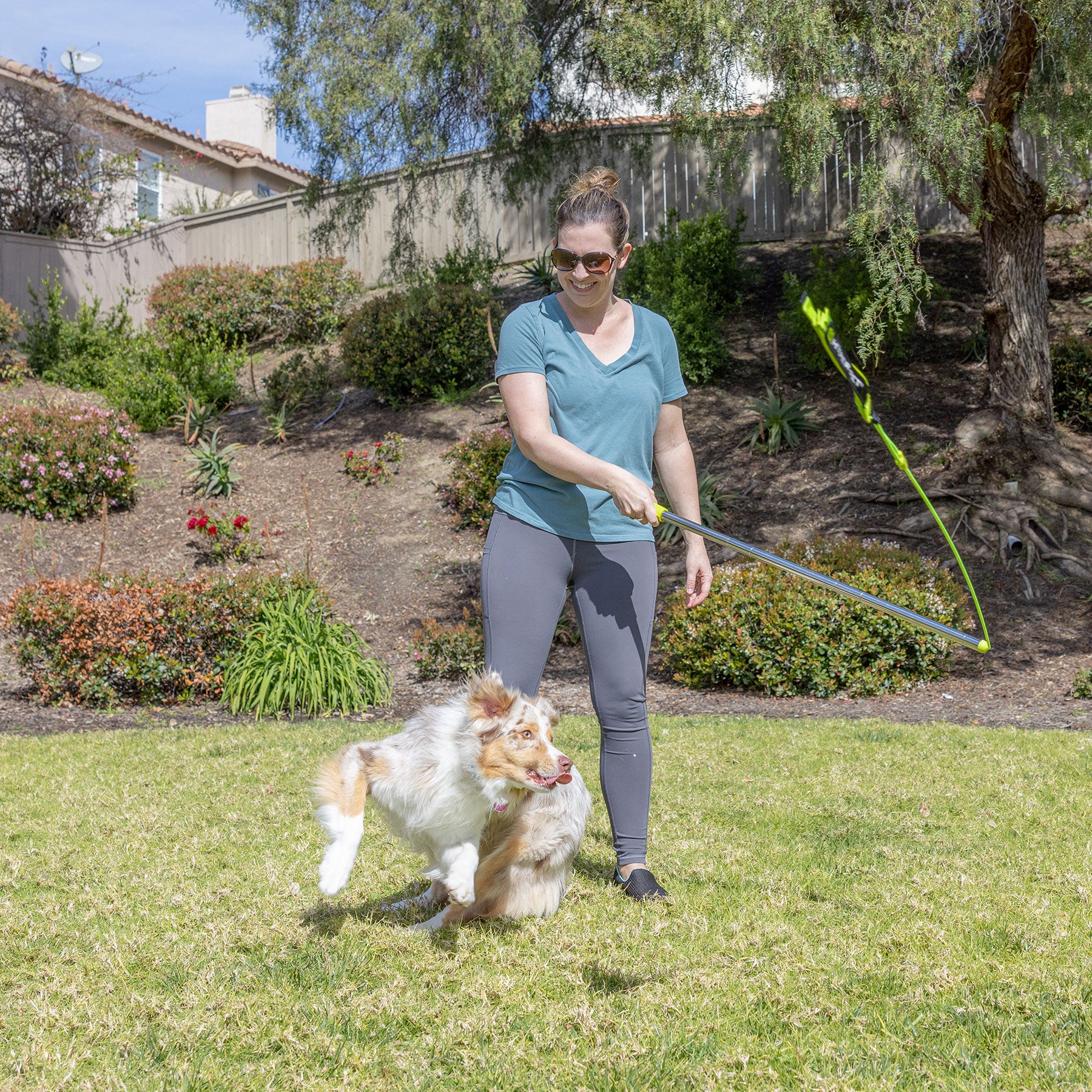 Wearing a green shirt and gray leggings, a woman plays energetically with her Australian Shepherd using the Hyperpets Hyper Pet Flirt Pole. The lively dog jumps amid grassy greenery, backed by bushes, a fence, and a clear blue sky.