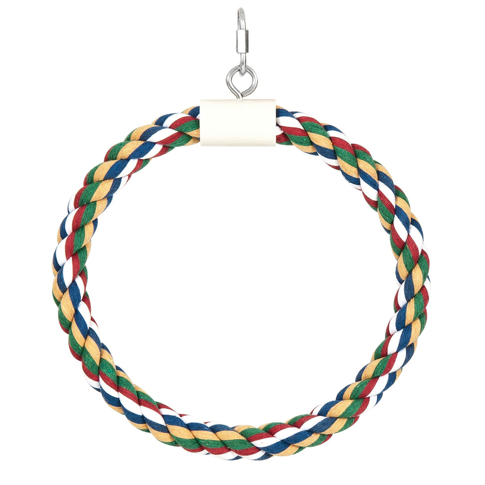 The JW Swing N Perch Bird Toy by Jw is a vibrant keychain loop with red, green, yellow, blue, and white strands. It features a metallic clasp for attachment and draws inspiration from bird perch designs for a stylish and practical accessory.
