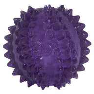 The JW Bristl-ee Cactus Ball Puppy Toy by Jw is a purple spiky rubber ball with a glossy surface, ideal for small dogs as a teething toy.