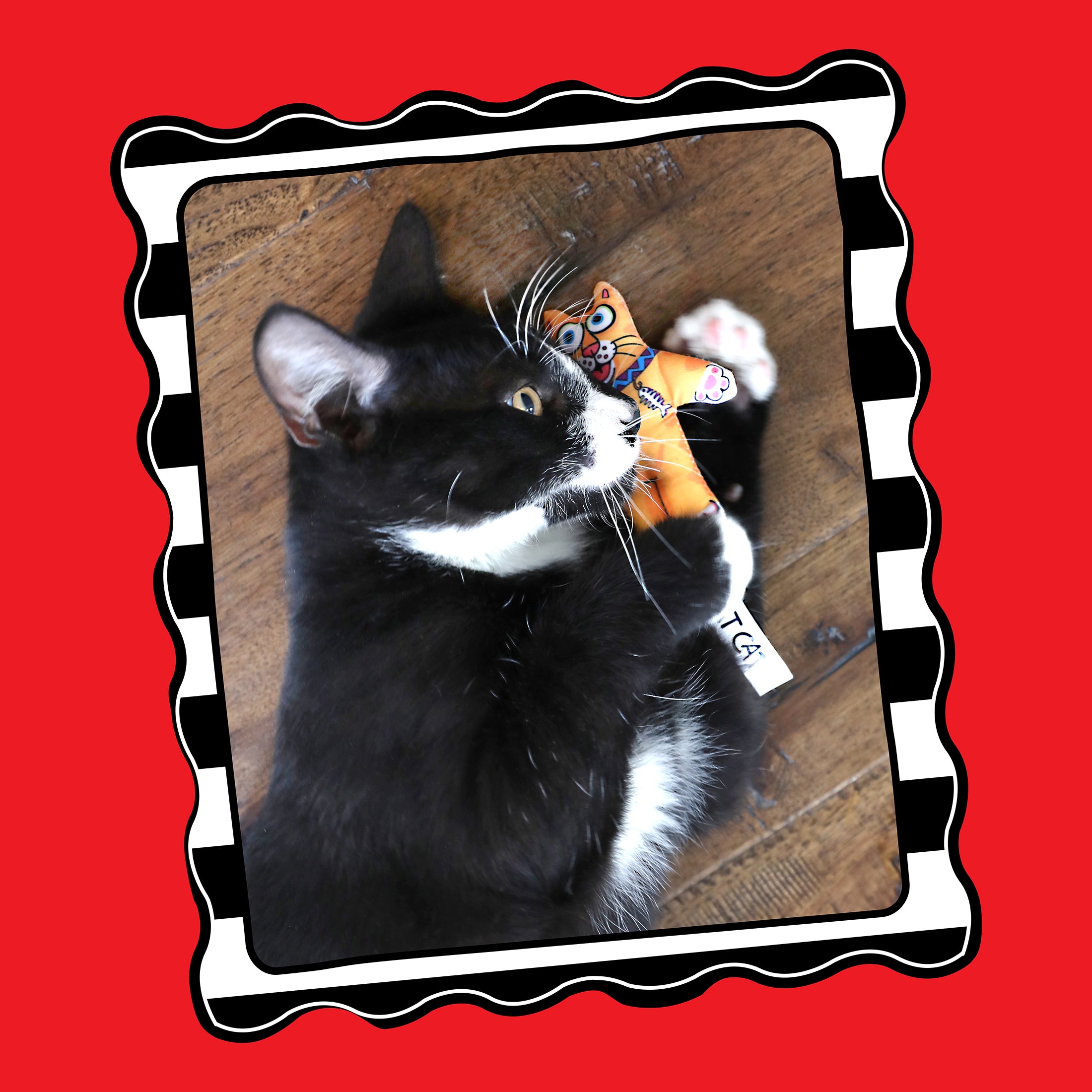 A black and white cat cuddles a FAT CAT Classic Kitten Little Cat Toy by Fatcat on a wooden floor. The image is framed with black and white stripes against a red backdrop.