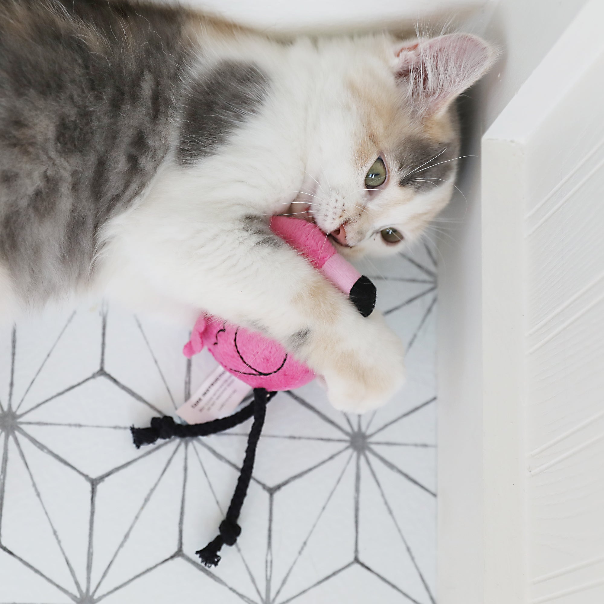 Mad Cat® Flingin' Flamingo Catnip & Silvervine Cat Toy – Petmate