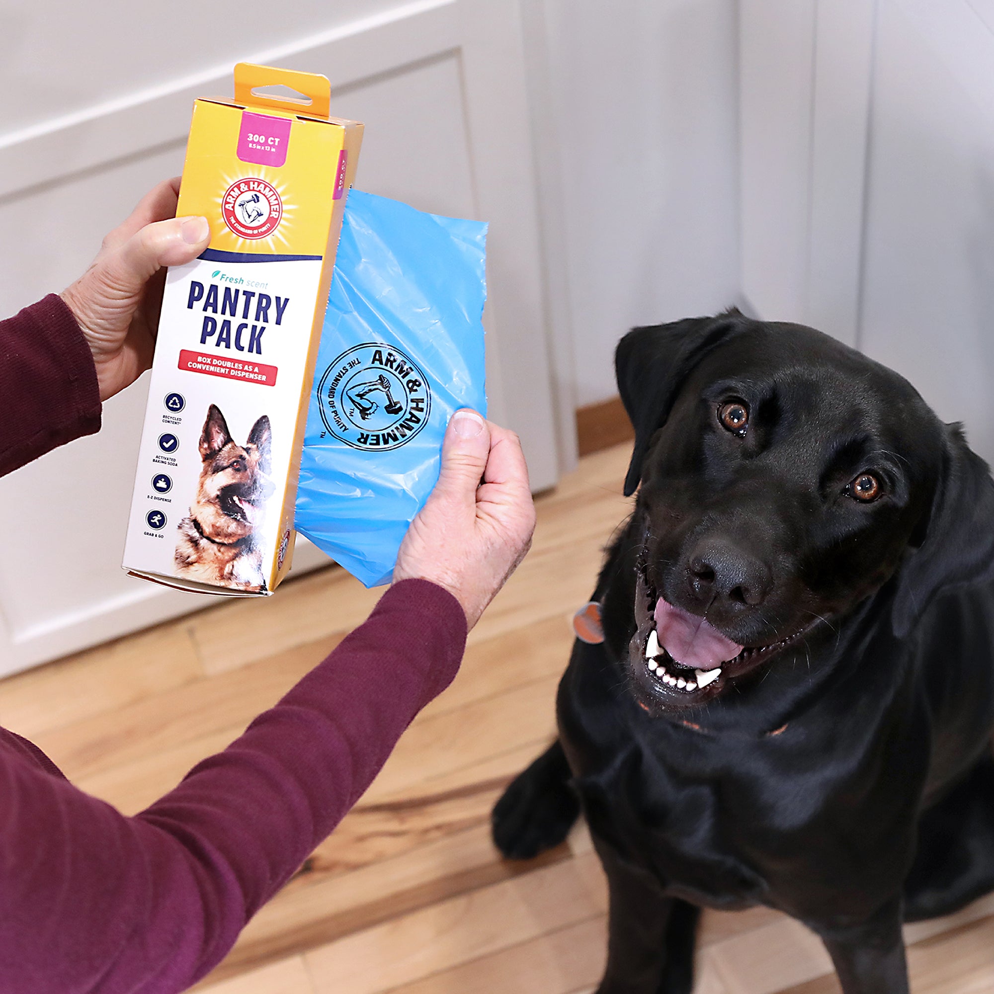 A person holds an Arm & Hammer Pantry Pack Waste Bags 300 ct. with an EZ Dispense Box, featuring a blue ARM & HAMMER label. Nearby, on the wooden floor, a happy black labrador looks up at the person.