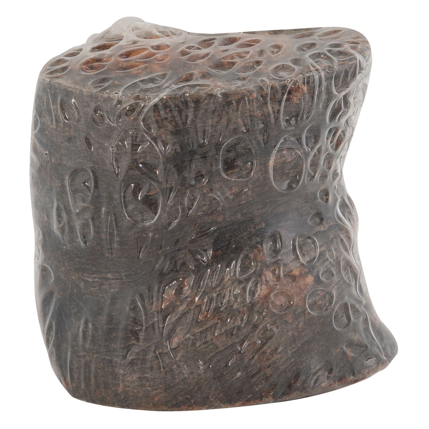 The Wild Eats Water Buffalo Tuffie With Pizzle, from Wild Eats, resembles a polished dark stone with circular indentations. Its glossy top catches the light while the matte bottom remains subtle. Its abstract and irregular form adds intrigue to any space.