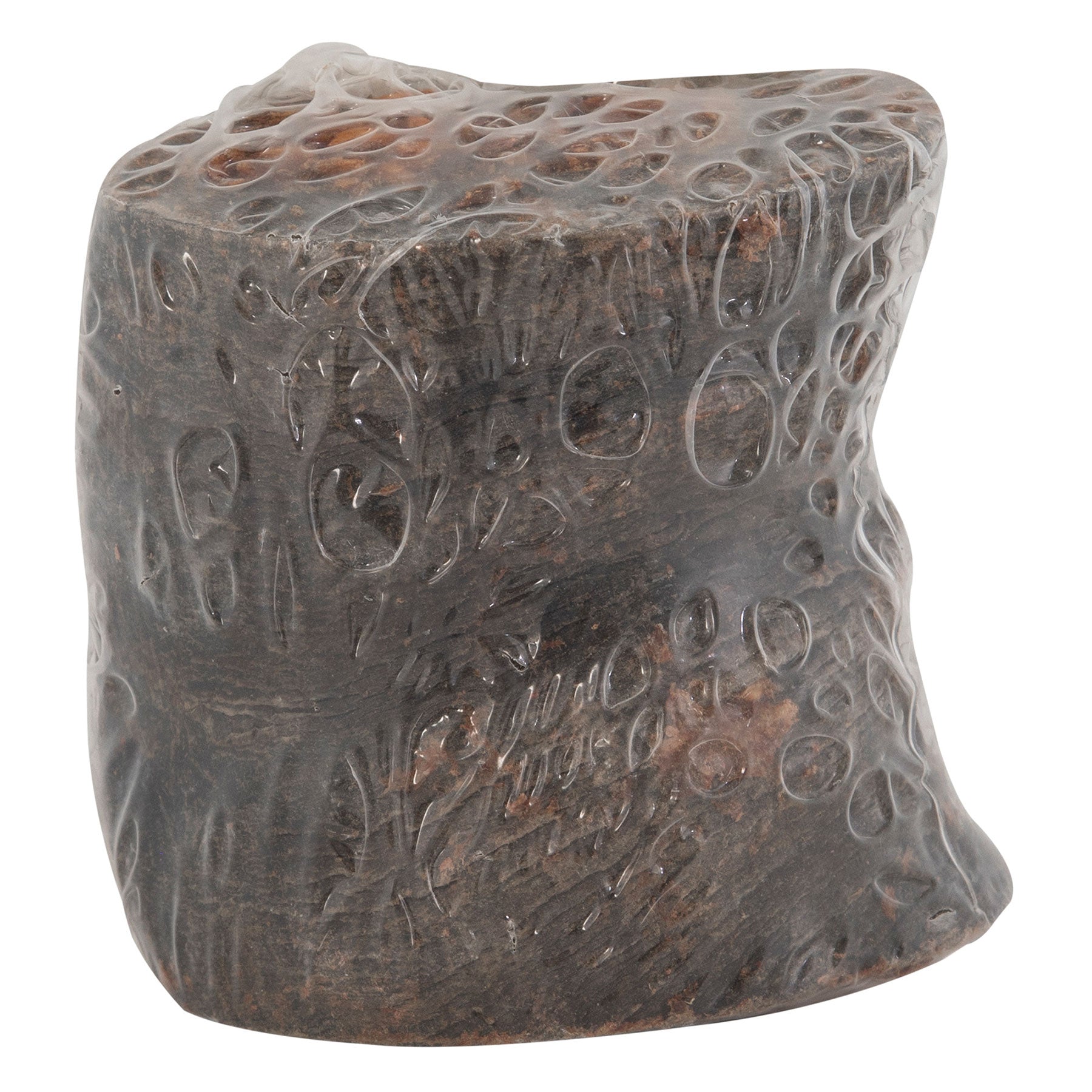 The Wild Eats Water Buffalo Tuffie With Pizzle, from Wild Eats, resembles a polished dark stone with circular indentations. Its glossy top catches the light while the matte bottom remains subtle. Its abstract and irregular form adds intrigue to any space.