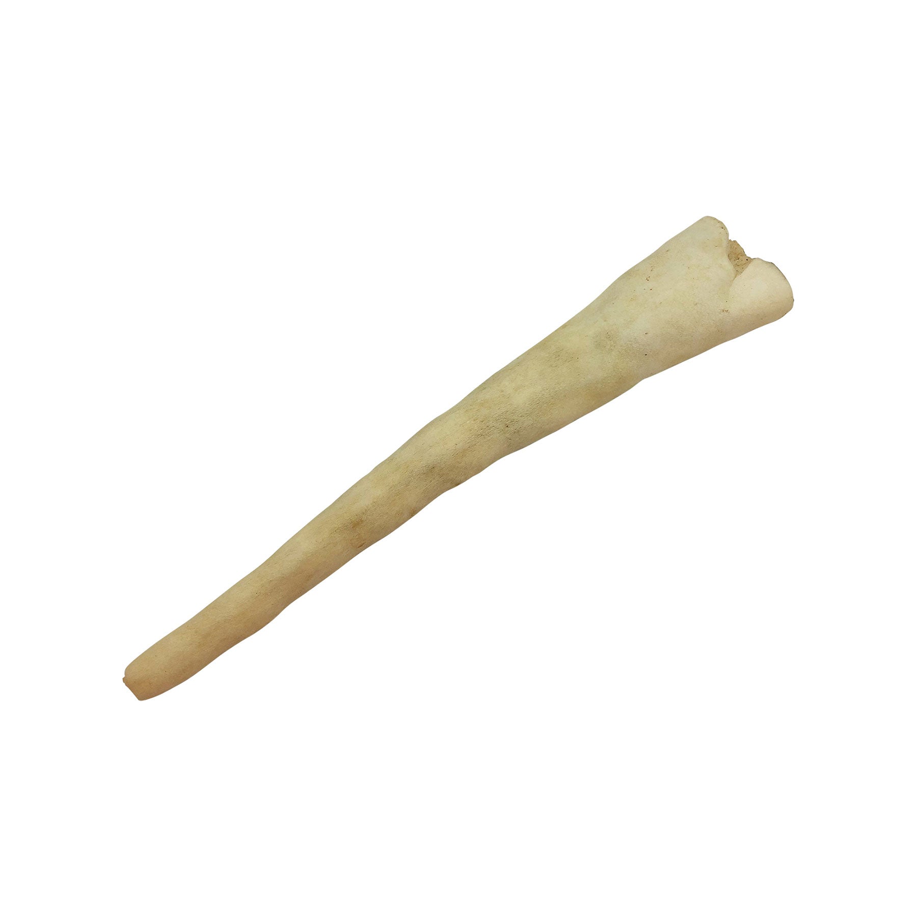 The Wild Eats 11 Water Buffalo Tail Dog Chew is a single, long, beige-colored chew stick on a white background, crafted from natural ingredients to support dental health.