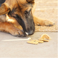 A German Shepherd puppy relaxes on a woven mat, eyes fixed on pasta pieces scattered on the concrete. Sunlight gently highlights its fur as it dreams of savoring Wild Eats Sweet Potato Treats, an ideal low-calorie snack rich in dietary fiber for its diet.