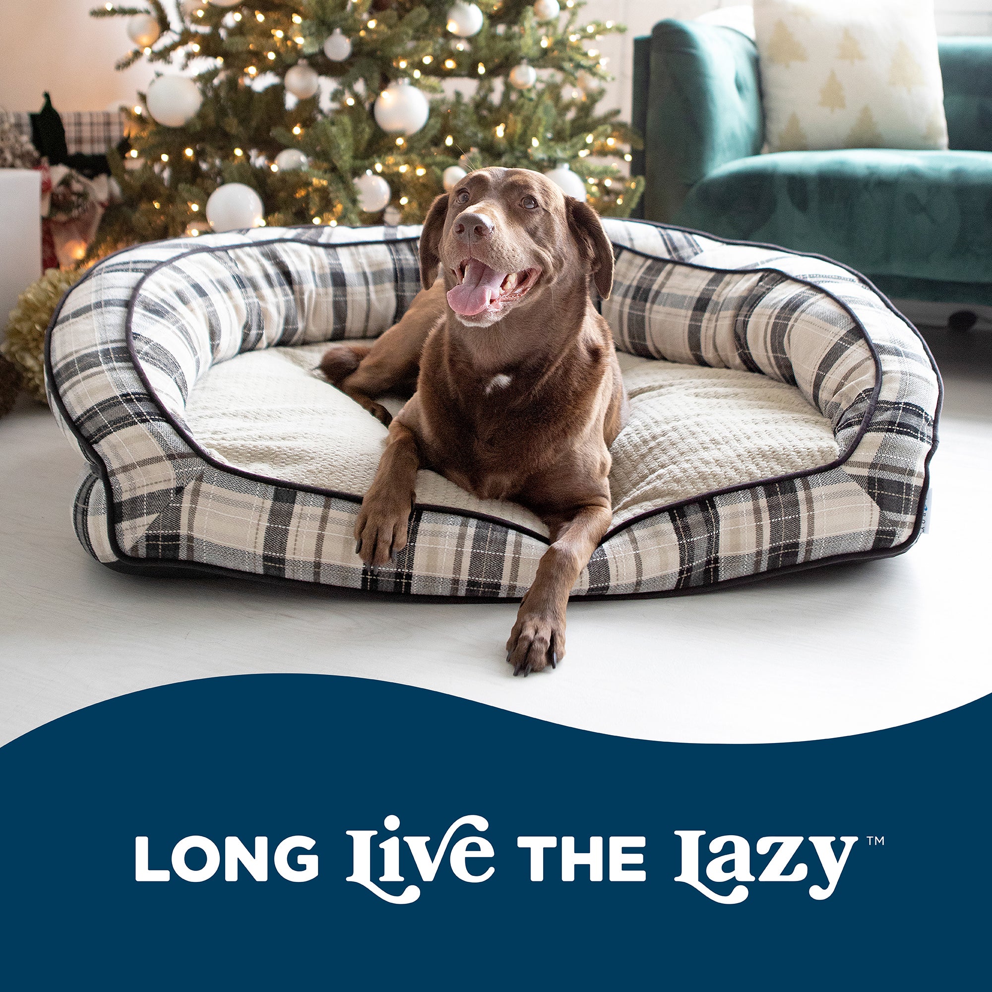 A brown dog lounges on a La-Z-Boy Harper Sofa Plaid in a room with a Christmas tree and festive lights. Long Live the Lazy is displayed below in white on blue, highlighting pet comfort for the holidays.