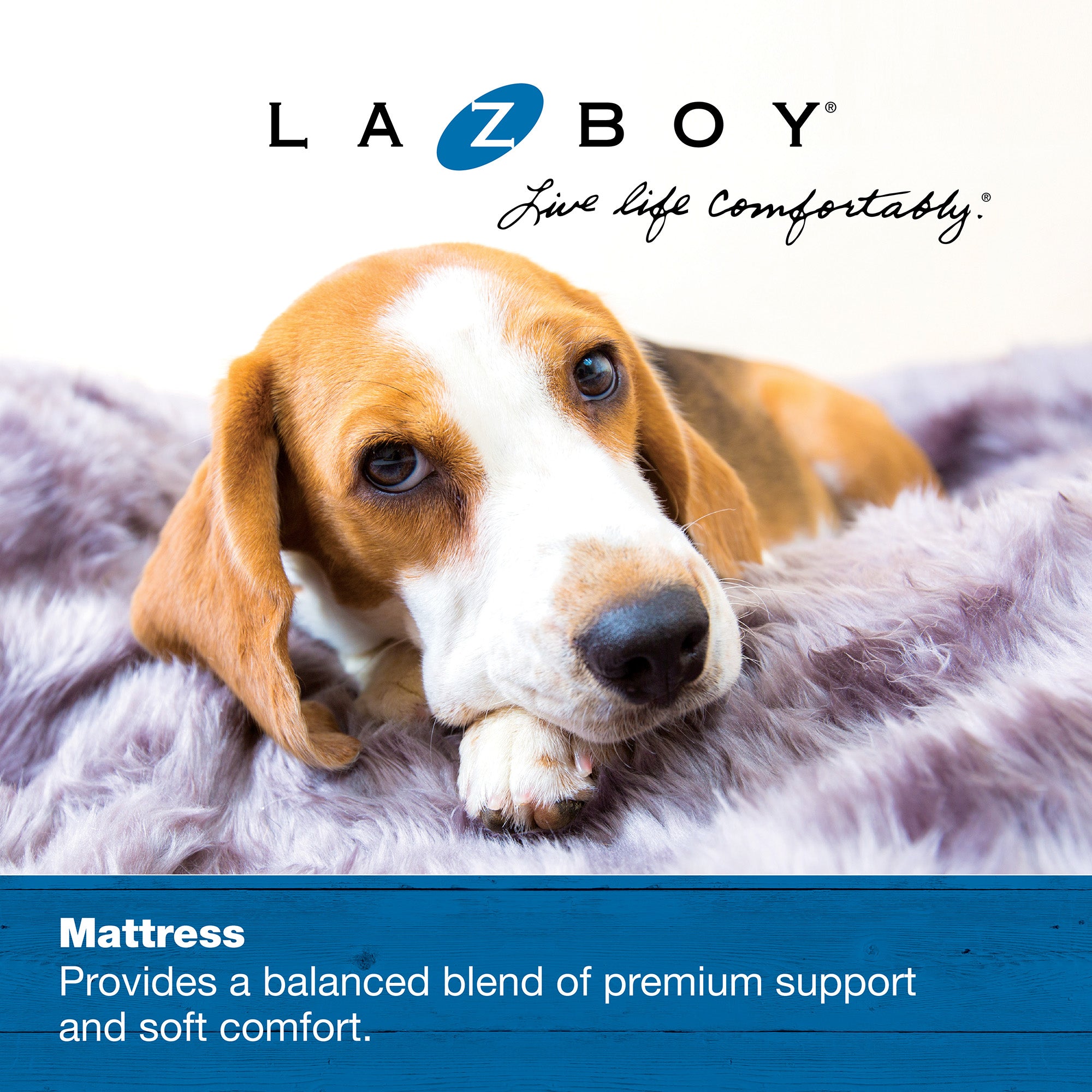 A beagle puppy rests on a fluffy grey blanket, gazing up with a gentle expression. Above, the La-Z-Boy logo and Live life comfortably slogan are visible. The text highlights the La-Z-Boy Smoke Twill Cooper Mattress Dog Bed: Offers premium support with ComfortSelect fiberfill for medium breeds.