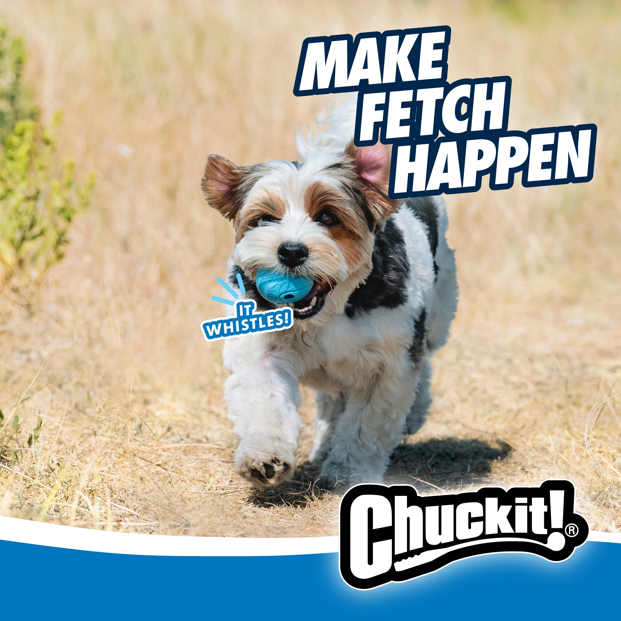 Chuckit! The Whistler Dog Toy | Petmate